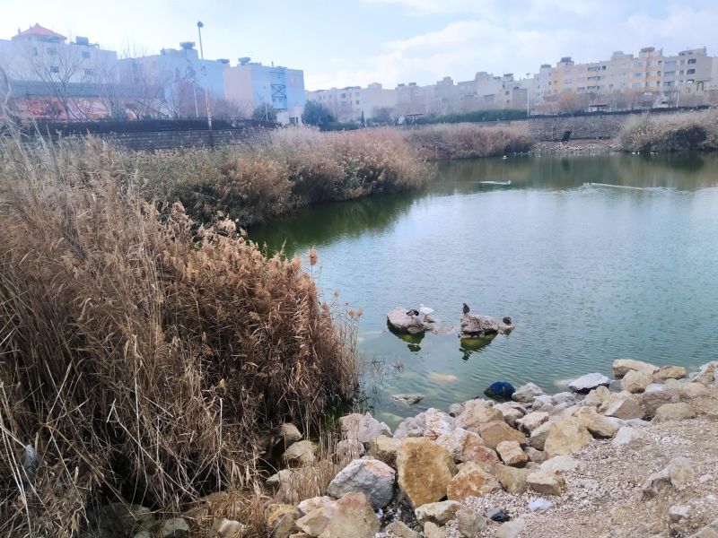 بوستان آبی فروزان شیراز