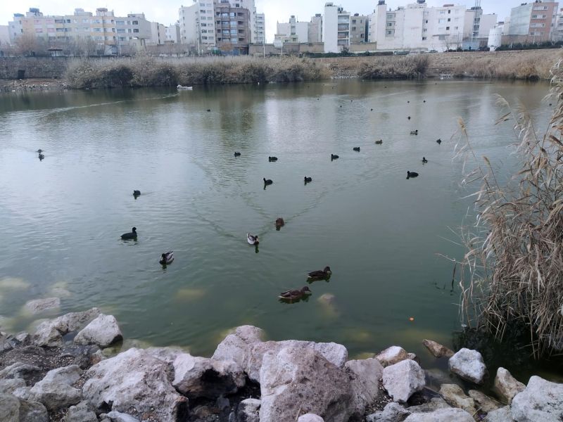 بوستان آبی فروزان شیراز