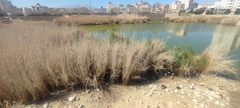بوستان آبی فروزان شیراز