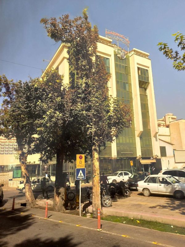 بیمارستان دکتر فرهمندفر شیراز