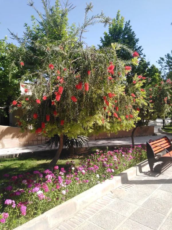 بوستان کوثر شیراز