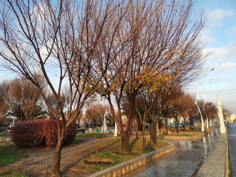بوستان حجاب شیراز