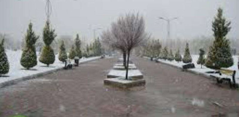 بوستان شقایق شیراز