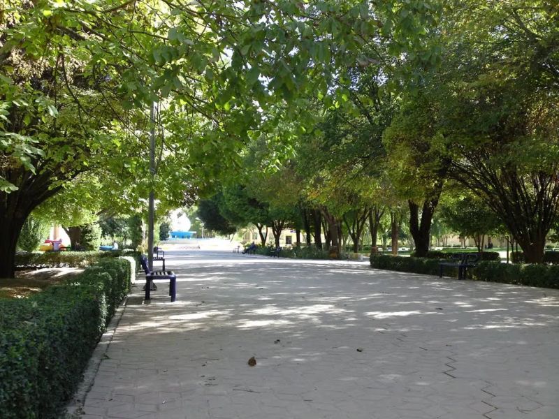 بوستان قوری شیراز