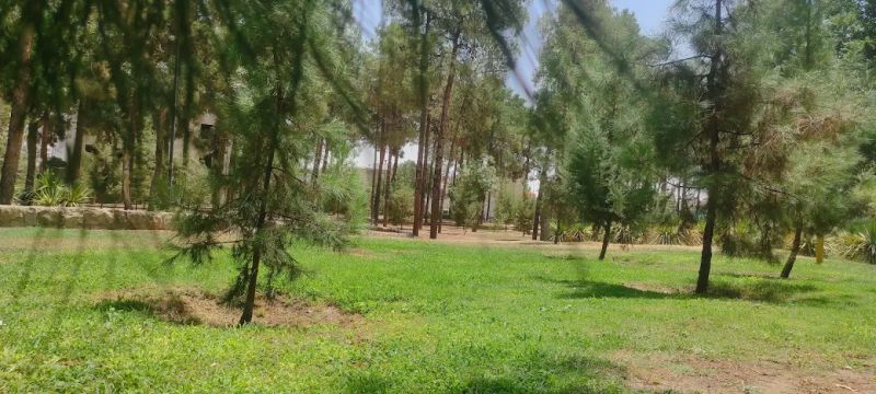 پارک ارغوان شیراز