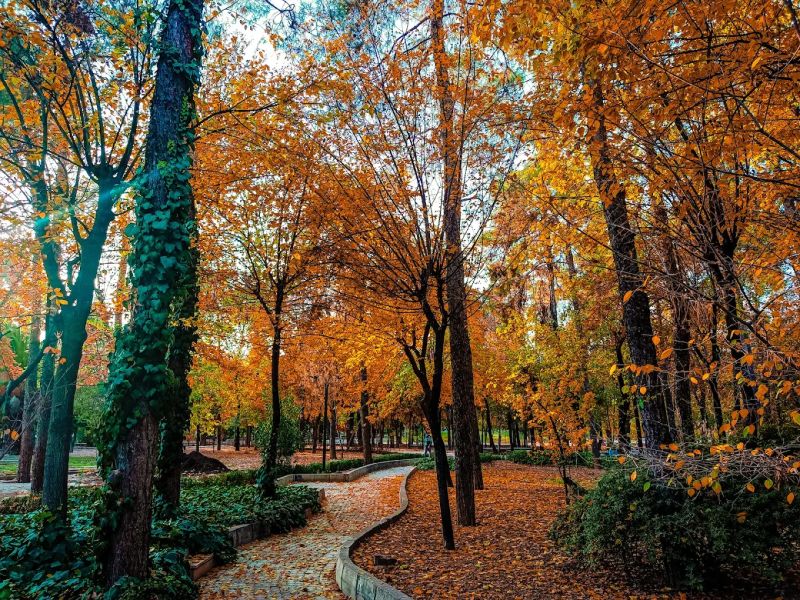 بوستان آزادی شیراز