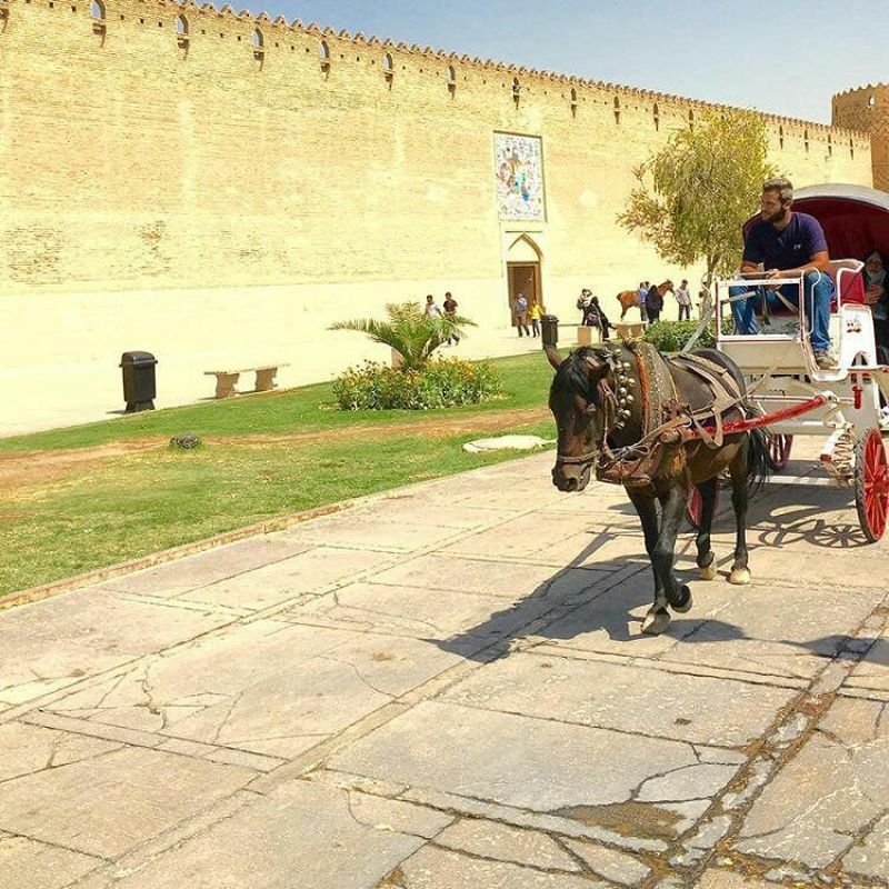 ارگ کریمخان زند